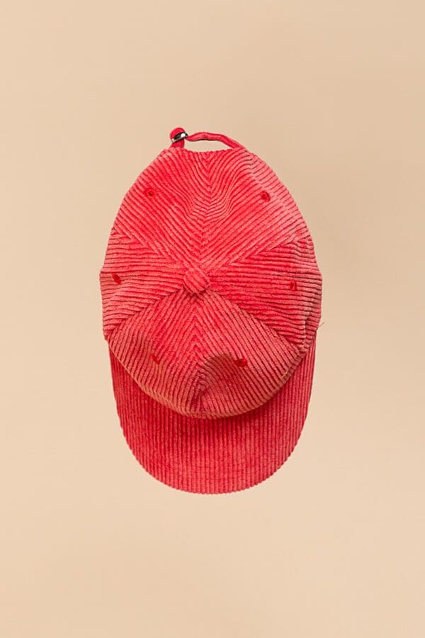 A red hat hanging on the wall