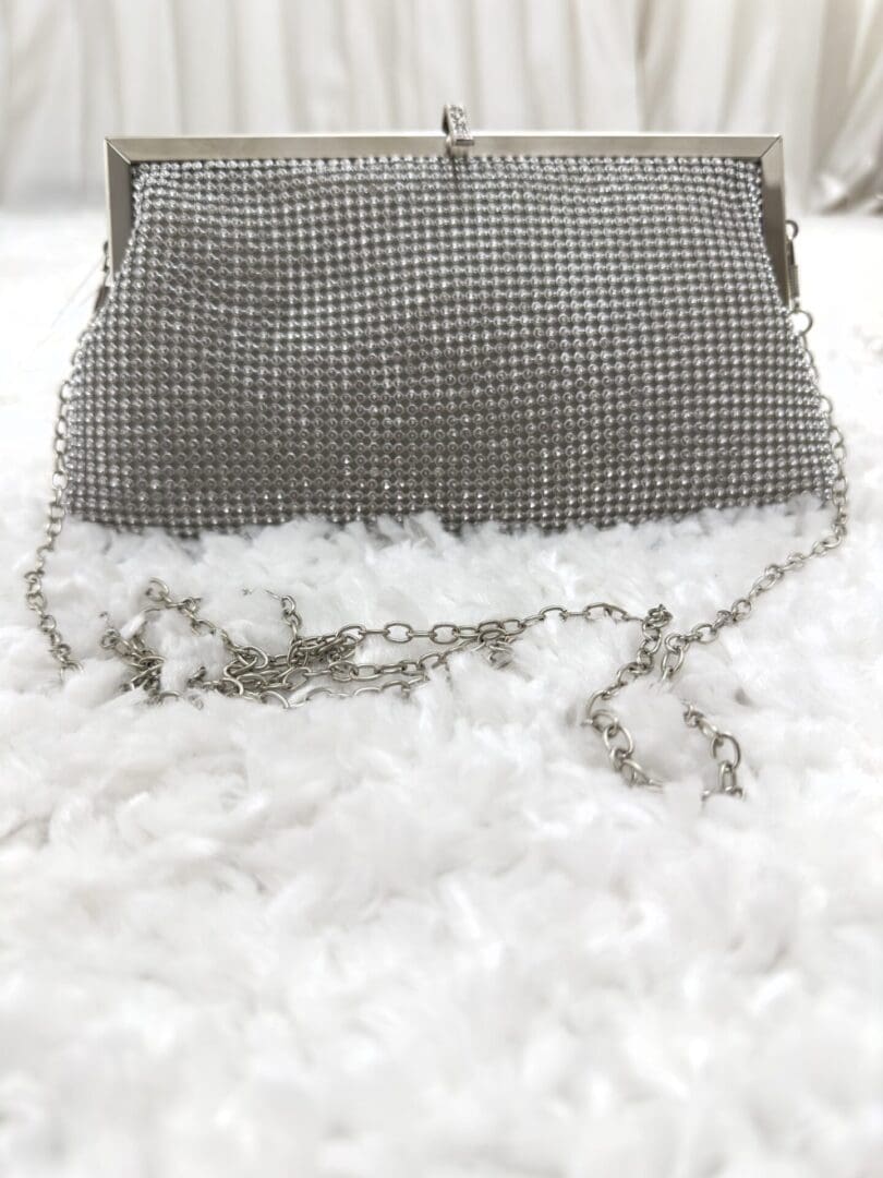 A purse that is sitting in the snow.