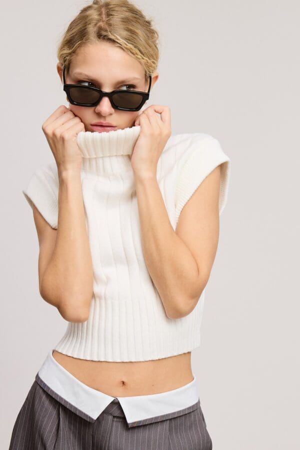 Soft Ribbed High Neck Crop Sweater Top